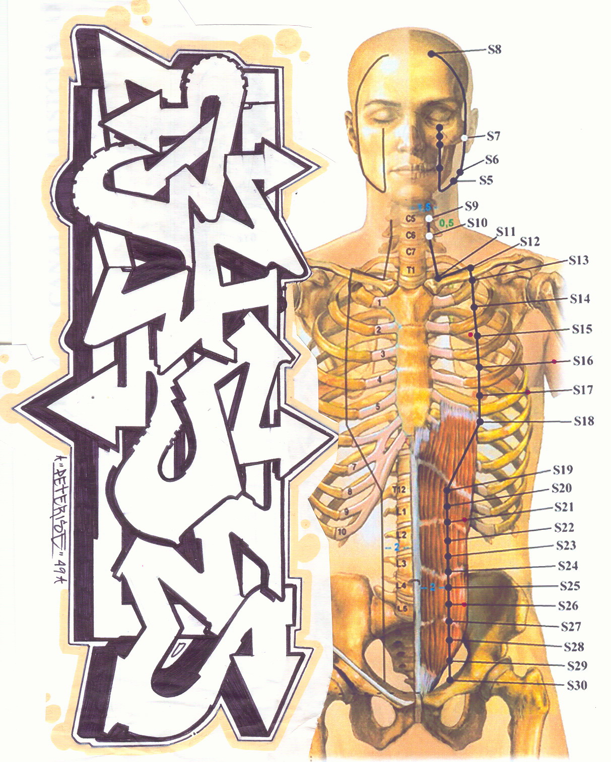 RISE: SHAKTY ANATOMY